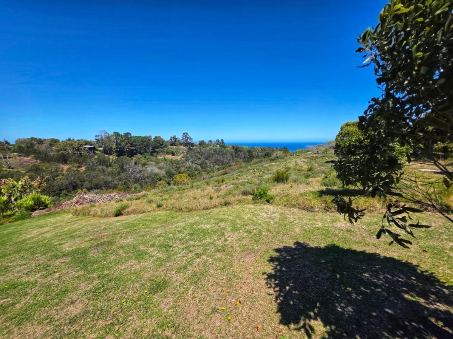 Commercial Property for Sale in Hoekwil Western Cape